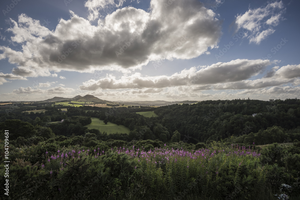 Obraz premium scots view