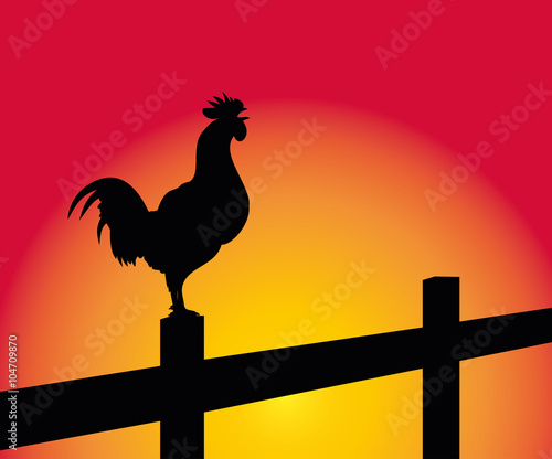Fotografija crowing rooster on the background of sunrise