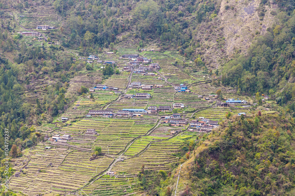 Overview of Chomrong village, Nepal with terrace farming playing an important activity for local