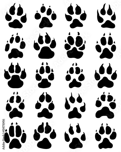 Black print of dogs paws on white background, vector