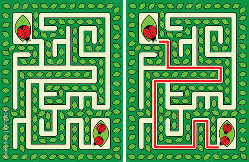 Ladybug maze