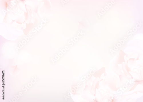 Flower background with peonies and petals