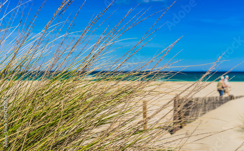 Summer vacation at the beach