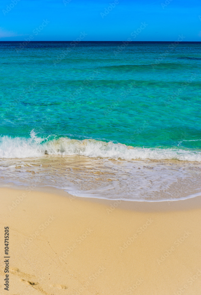 Idyllic view sandy beach with turquoise water Idyllic view sandy beach with turquoise water