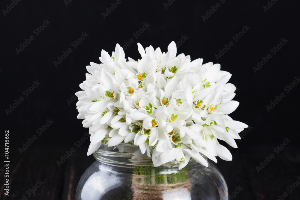 bouquet of snowdrops in vase bouquet of snowdrops in vase