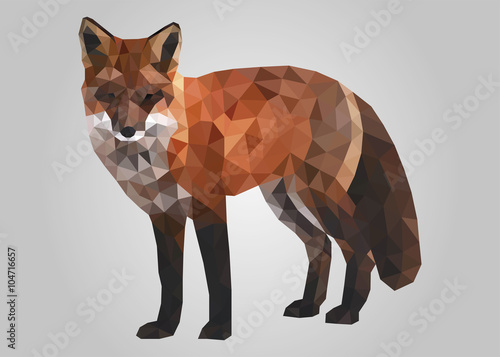 Fox orange animal low poly standing and looking on camera