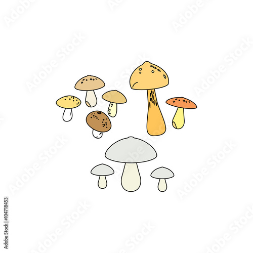 Education, Food, Medical, Nature