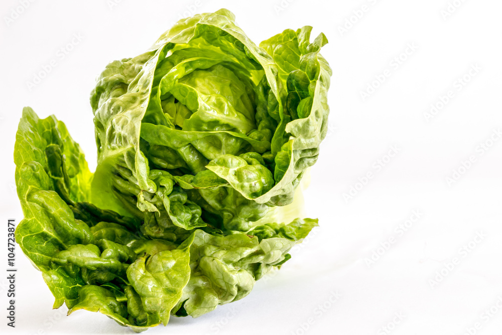 Lettuce Lettuce