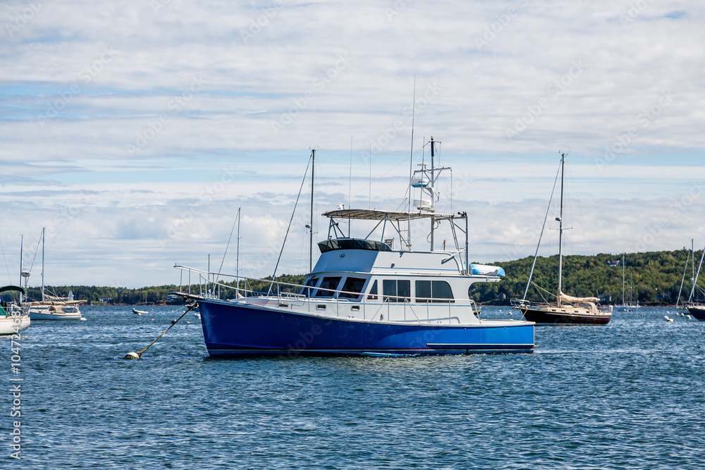 Blue and White Fishing Boat Moored in Bay