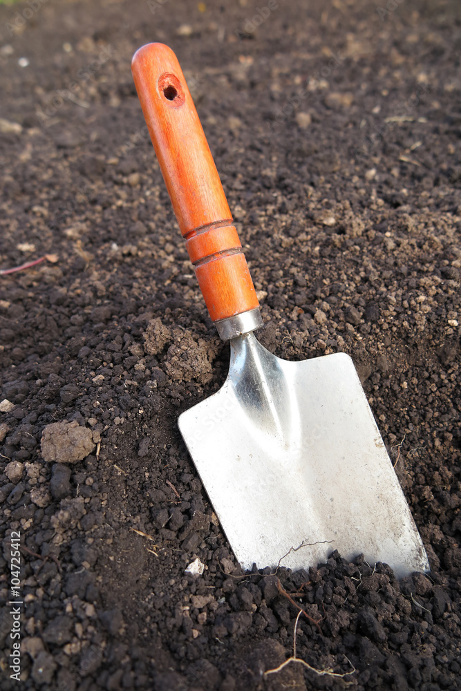 Garden hand trowel in the loosen soil in the garden Stock Photo | Adobe  Stock