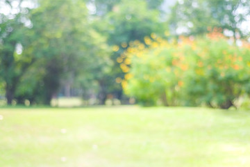 Blur park with bokeh light background