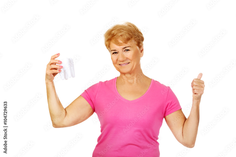 Smiling senior woman holding a tooth model and shows OK Smiling senior woman holding a tooth model and shows OK