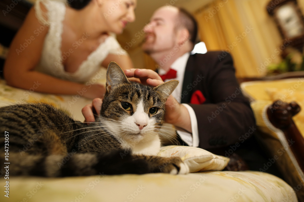 Nice weeding couple with a cat Nice weeding couple with a cat