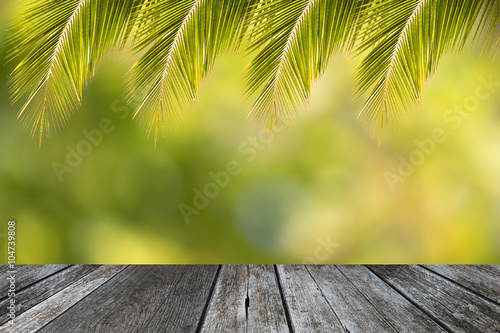 Tropical coconut leaf frame for summer background