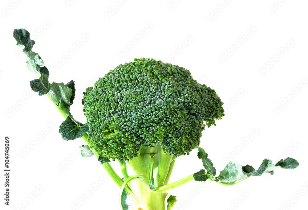 Broccoli isolated on white background Broccoli isolated on white background