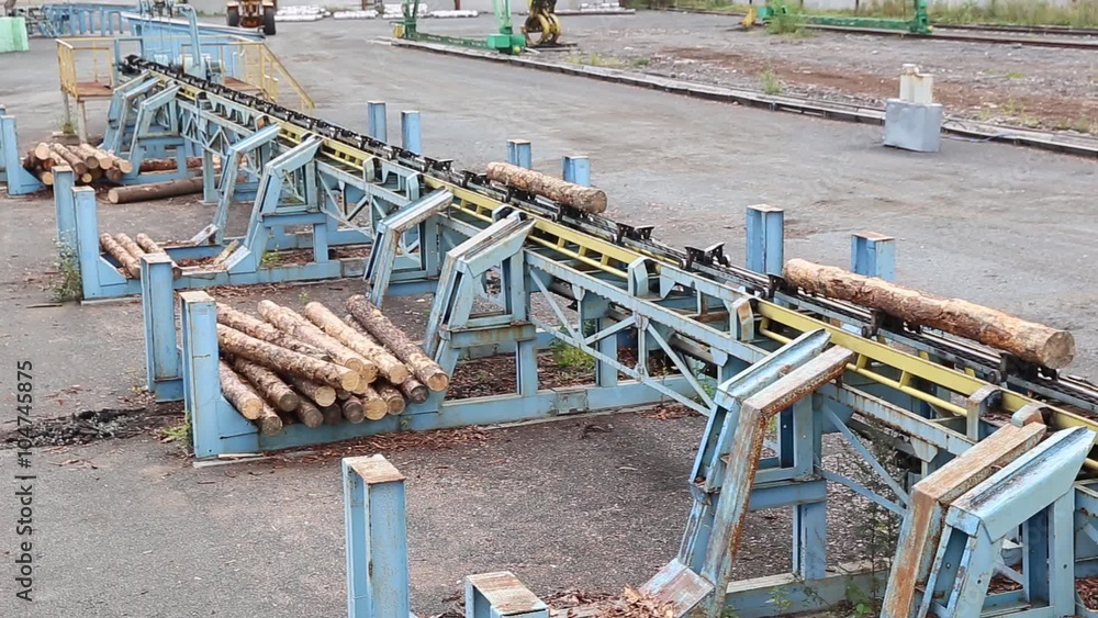 Automatic sorting logs diameter at the sawmill Automatic sorting logs diameter at the sawmill