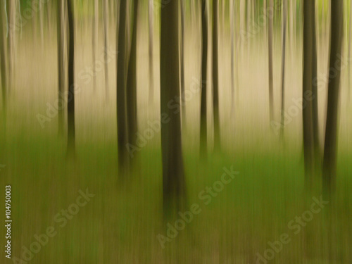 Bewegter Wald