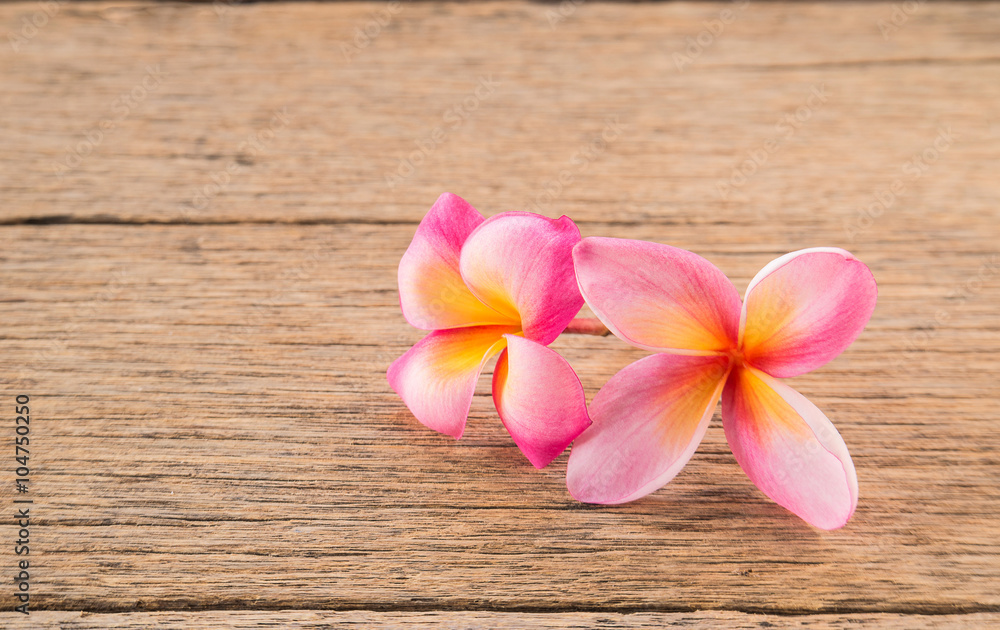 Plumeria on wooden floor. Plumeria on wooden floor.
