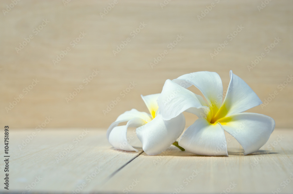 White Plumeria flower on wooden board background White Plumeria flower on wooden board background