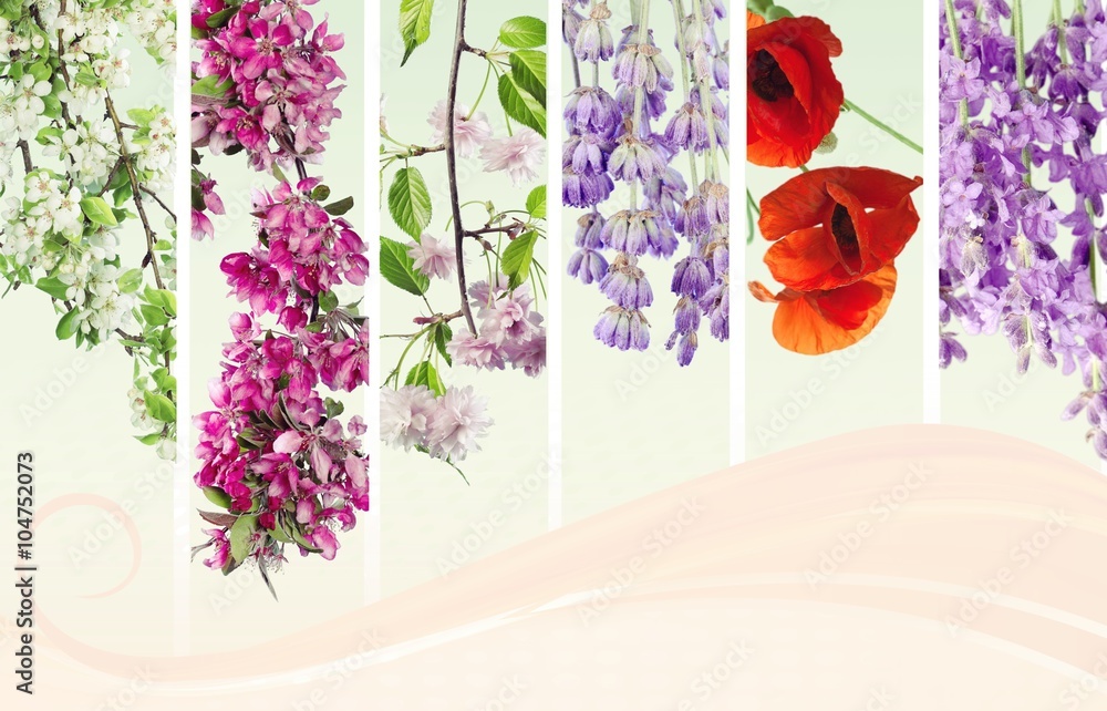 Obraz premium Petal.