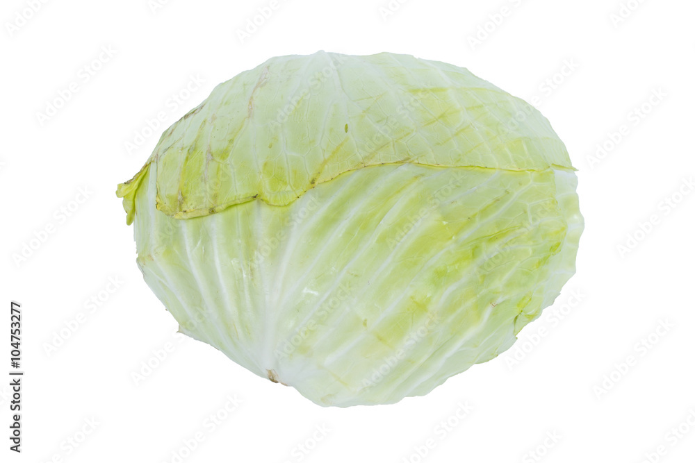 A cabbage on white background A cabbage on white background