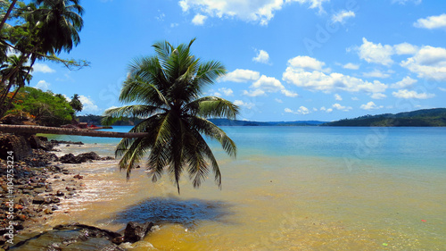 Seascape with an inclined palm tree on a tropical island, Ross Island, Andaman and Nicobar Islands, India, Asia.