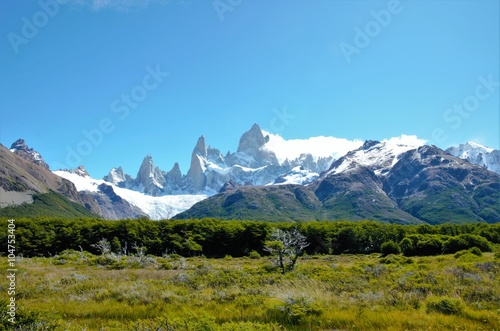 Panoramic view of mountain range in El Chaltén in Argentina with a forest in the foreground and snow covered mountains in the background on a sunny day