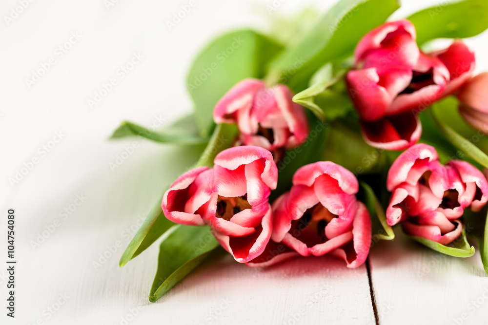 Pink Spring Tulips On White Wood Table Pink Spring Tulips On White Wood Table