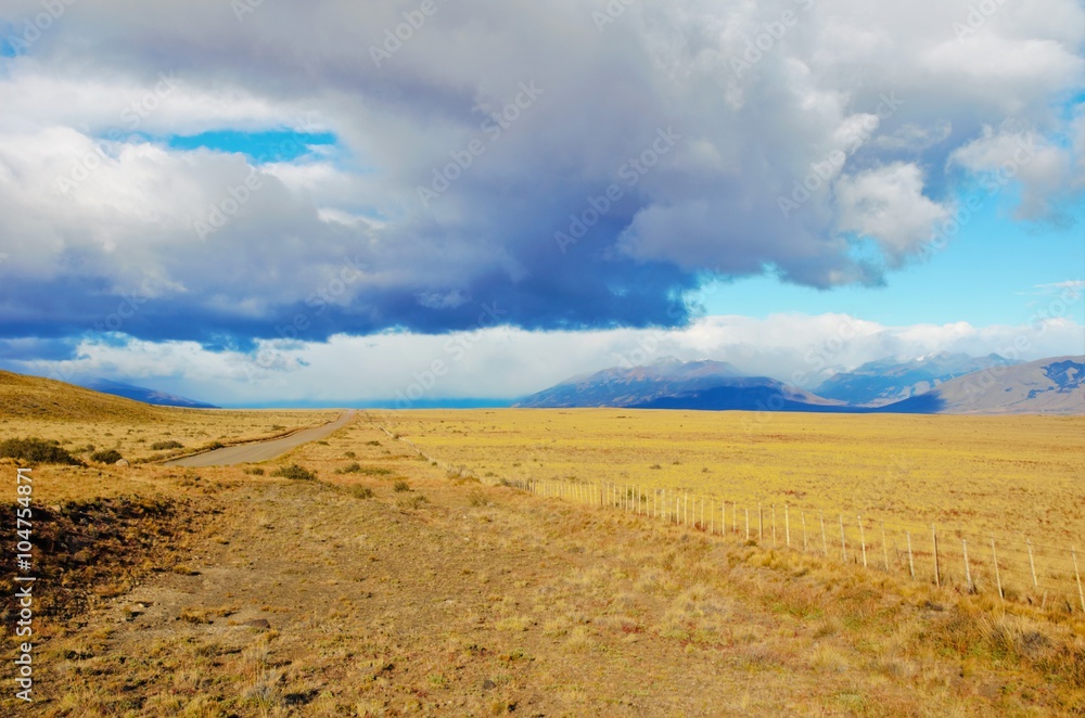Yellow pampa in Argentina with blue sky and clouds