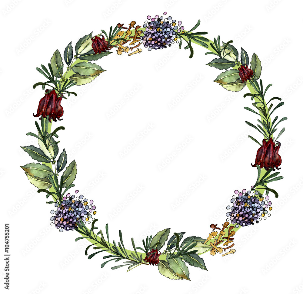 Fototapeta premium herbs, spices, watercolor