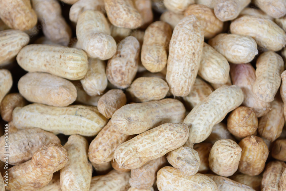 peanut peanut