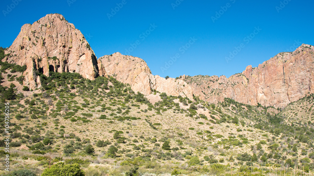 Fototapeta premium Big Bend National Park