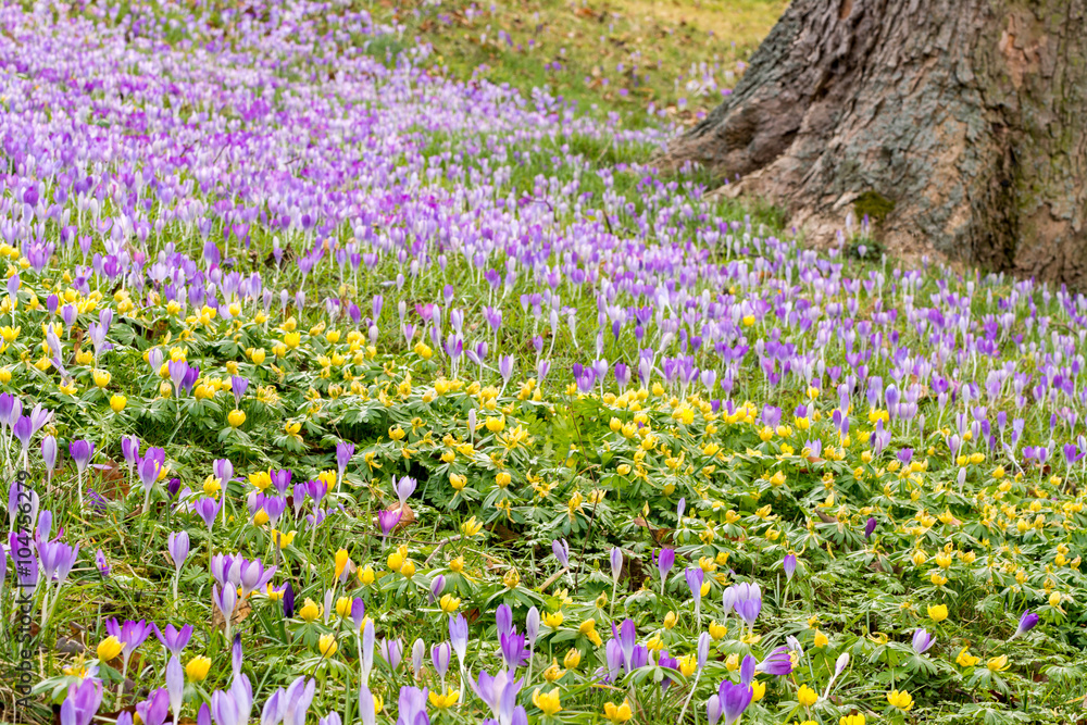 Frühling lässt grüßen Frühling lässt grüßen
