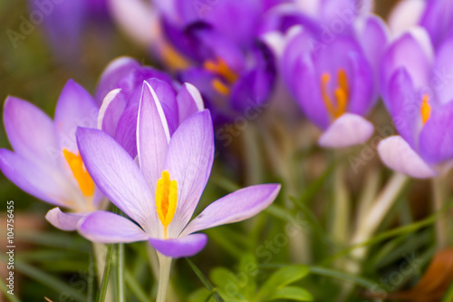 Frühling lässt grüßen