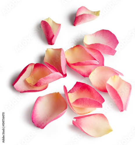 Rose petals