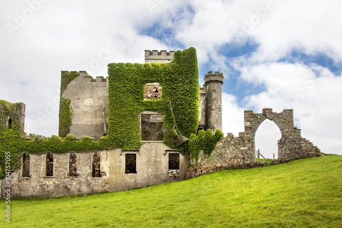 Bild auf Leinwand Ireland, Connemara, Clifden: Blick auf Burg Ruine von Clifden Castle in the Iris