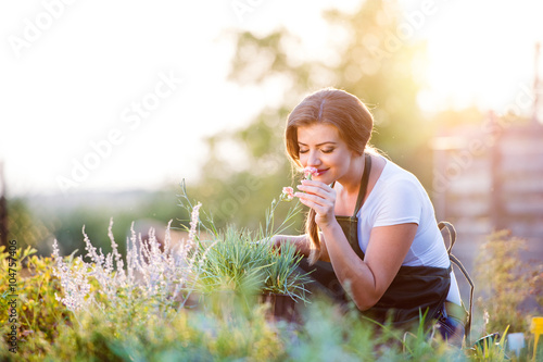 Young gardener in garden smelling flower, sunny nature photo