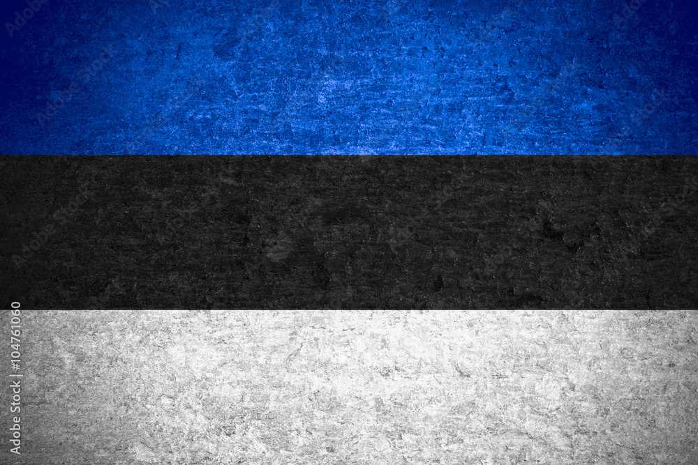 Fototapeta premium Estonia flag