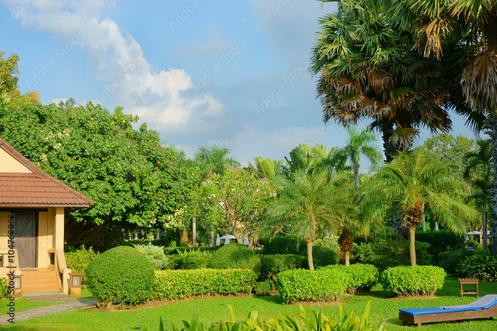 resort in the tropics resort in the tropics
