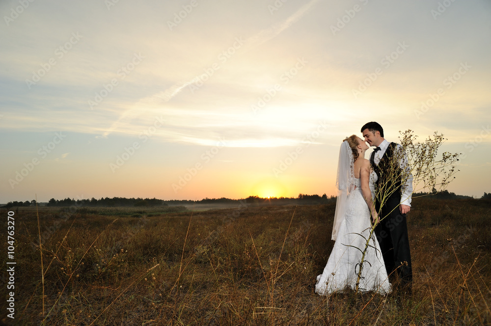Bride and Groom in the Field at Sunset Bride and Groom in the Field at Sunset