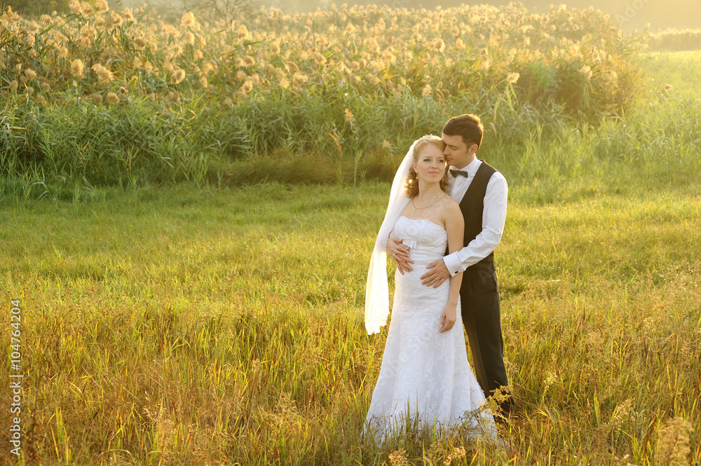 Bride and Groom Posing in the Field, filled with light Bride and Groom Posing in the Field, filled with light