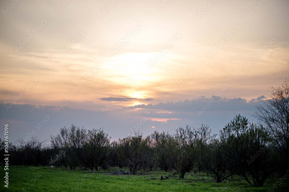 Fototapeta premium Peach sunset over a field of green