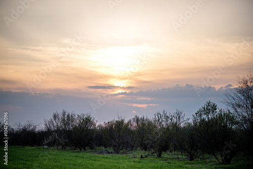 Peach sunset over a field of green
