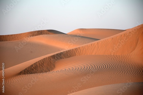 Fototapeta Naklejka Na Ścianę i Meble -  Sand dunes with wind blown patterns, Sahara