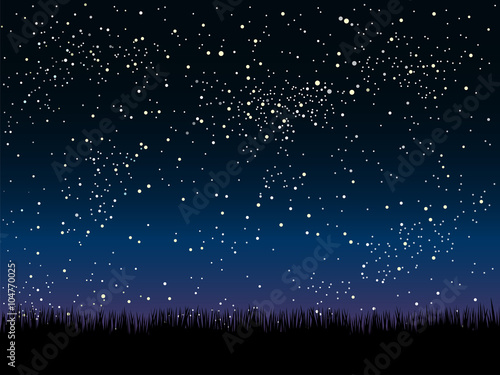 Vector. Silhouette grass. Starry Sky. Eps 10.