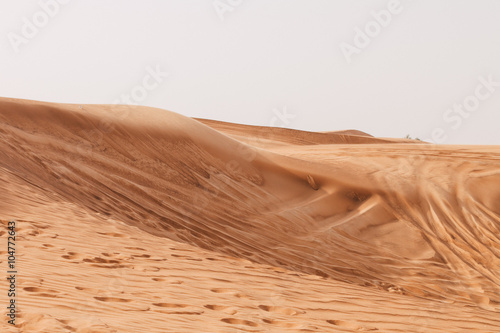 Sand dunes of the Arabian desert, close to Dubai in the United Arab Emirates. Soft vintage editing. Picture taken on a desert safari. photo