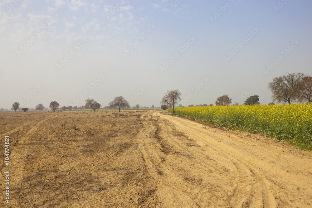 Obraz premium abohar landscape