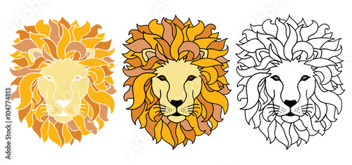 Vector Lions Hand Drawn Illustration