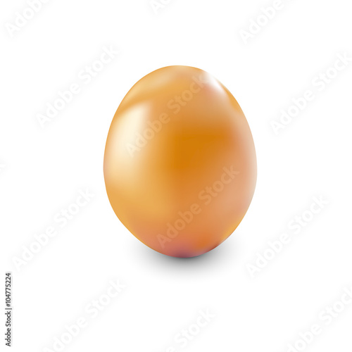brown chicken egg 