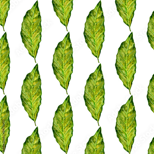 Bay leaf watercolor illustration on white. Vintage seamless pattern. Can be used as decoration for the gift boxes, wallpapers, backgrounds, web sites. Nature theme.